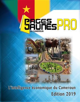 Africaphonebooks Cameroun sarl