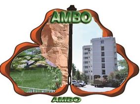 Ambo Municipality