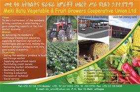 Meki Batu Vegetable & Fruit Growers Cooperative Union Ltd