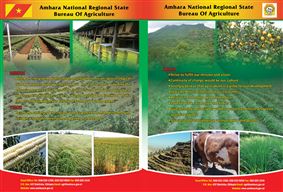 Amhara National Regional State Bureau Of Agriculture