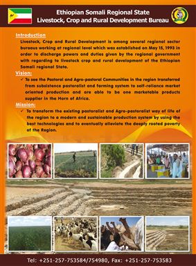 Ethiopian Somali Regional State Livestock, Crop and Rural Development Bureau