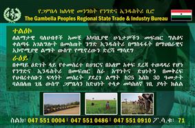 The Gambella Peoples Regional State Trade & Industry Development Bureau