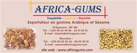 AFRICA-GUMS